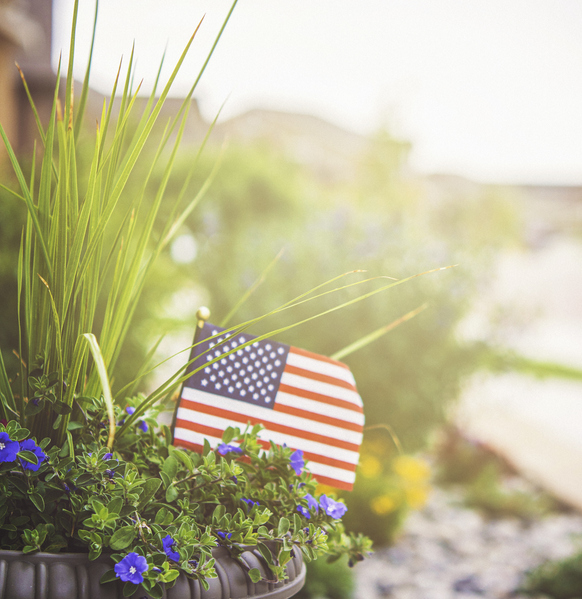 American Flag in a Flower Pot with the Sun Shining Over